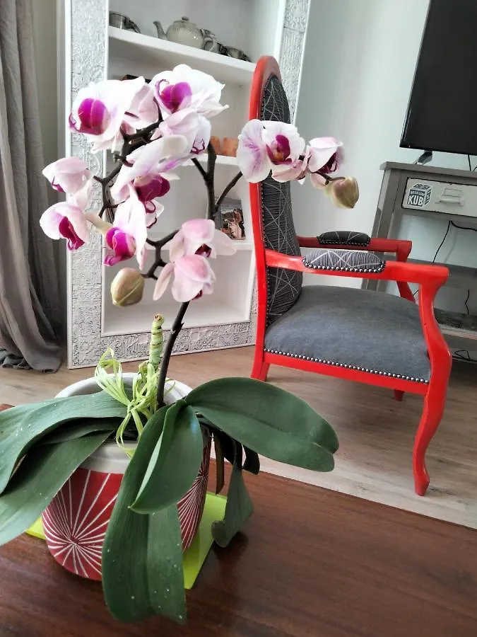 Les Chambres Hautes d'Anastasia Rodez Bed and breakfast